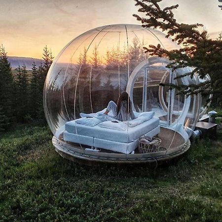 Buubble Hotel - Oelvisholt Selfoss Extérieur photo