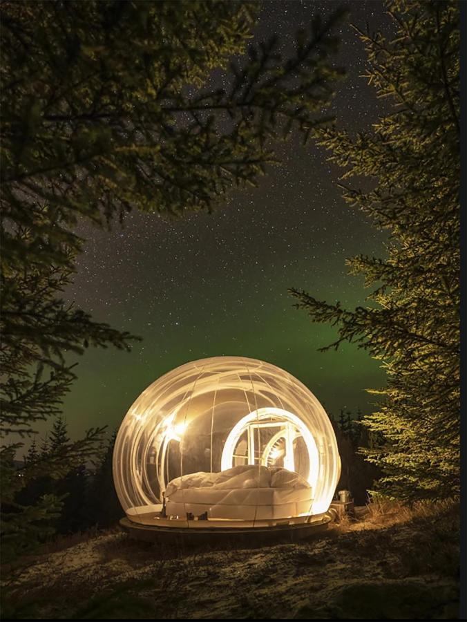Buubble Hotel - Oelvisholt Selfoss Extérieur photo