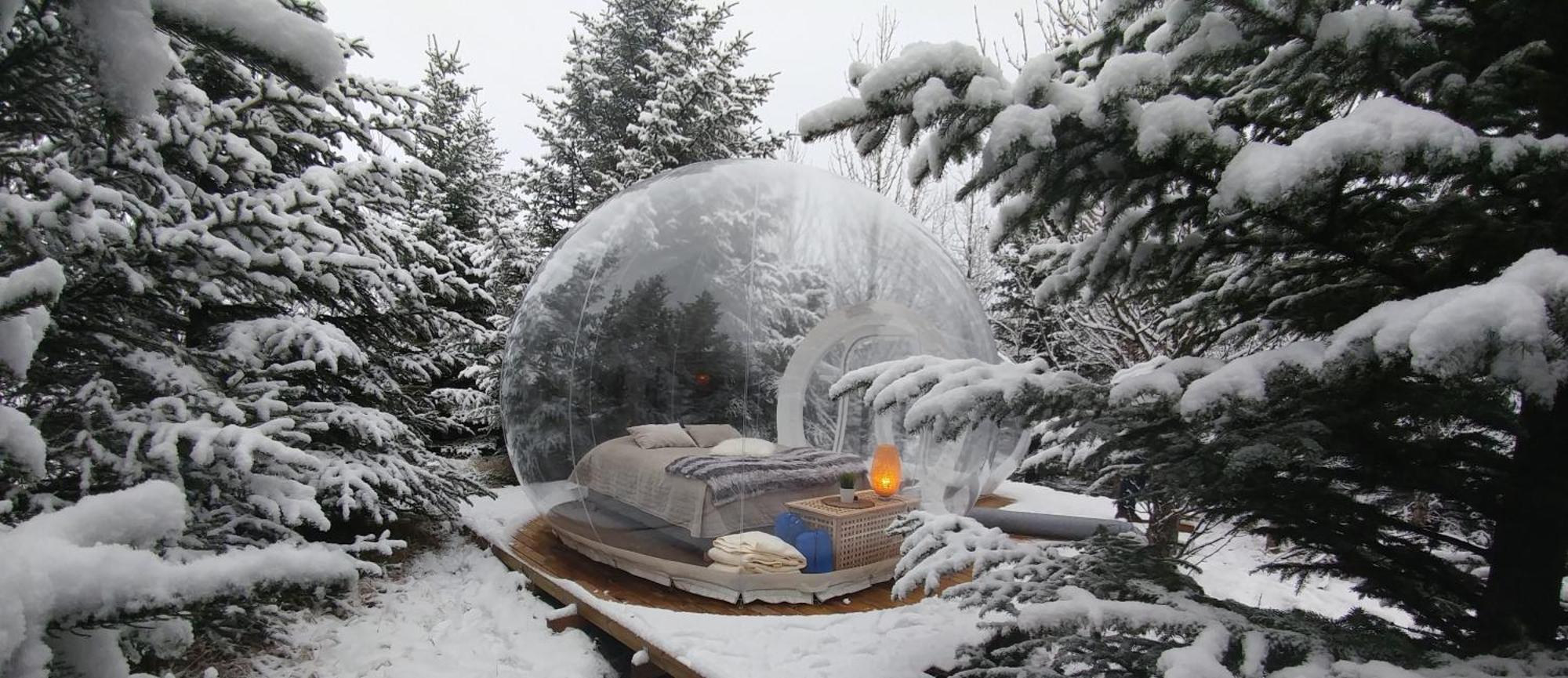 Buubble Hotel - Oelvisholt Selfoss Extérieur photo